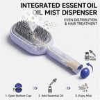 Electric Spray Air Cushions Massage Comb 3 in 1 Self Cleaning Steam Essential Oil Brush Rechargeable Spray Scalp Massager Combs